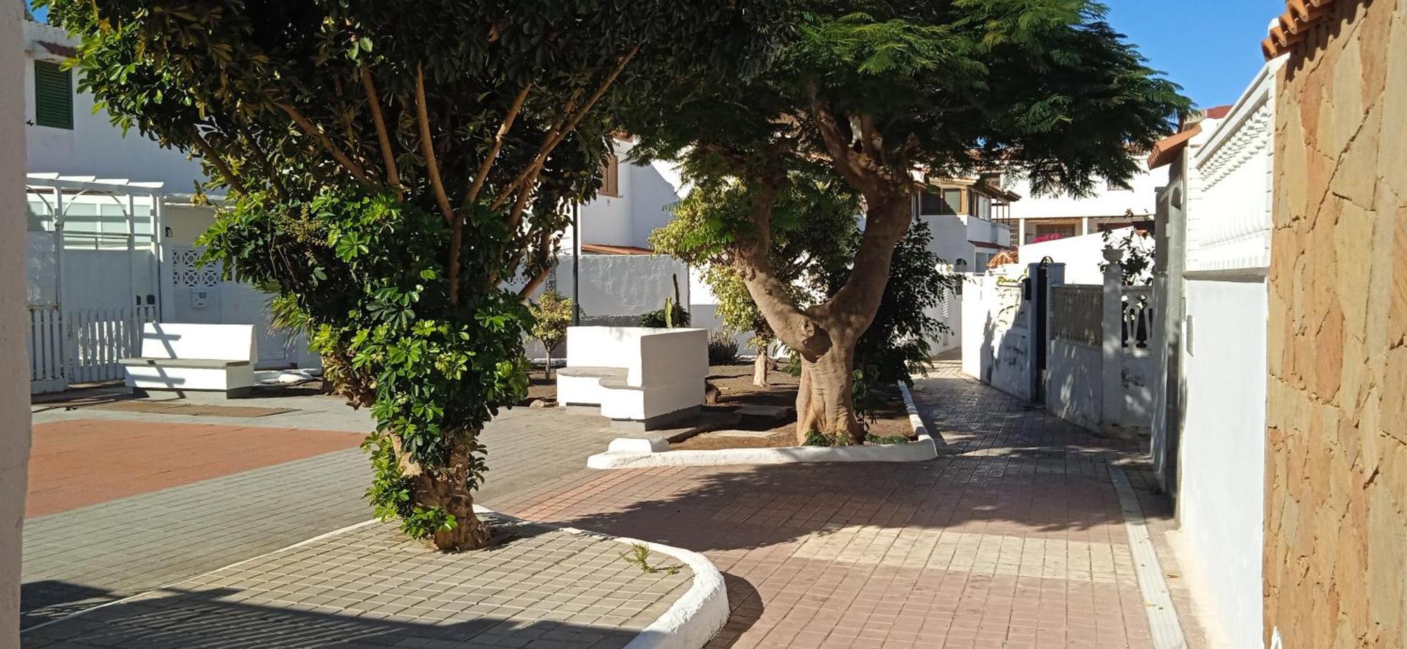 Oasis El Palmeral De Agaete Agaete  Exterior foto